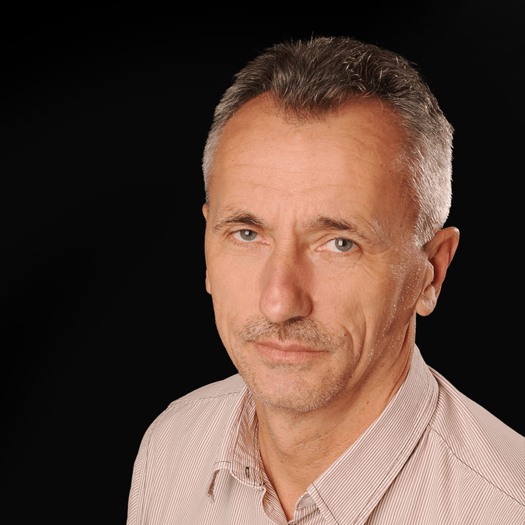Dragan Simić - predavač Fruške teme